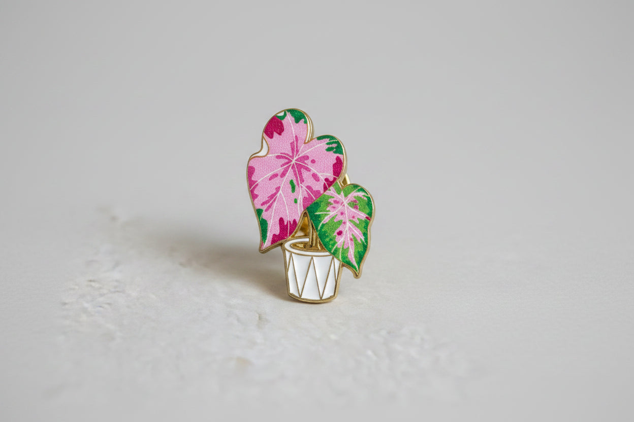 Pin - Rosa krukväxt