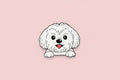 Pin - Vit hund