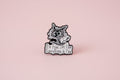 Pin - ”It’s fine, everything is fine” Katt